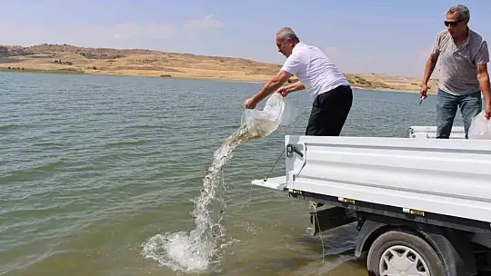 Baraj göletine 3 milyon 550 bin adet yavru balık bırakıldı