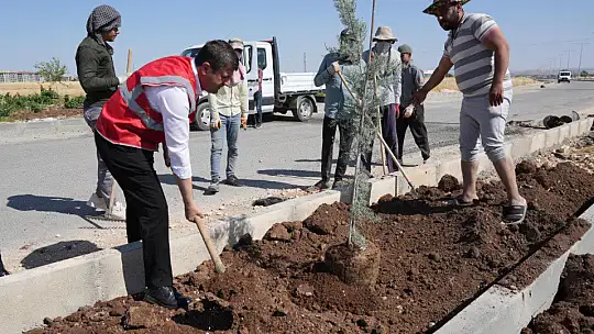 Başkan Tutdere, çalışmaları yerinde inceledi