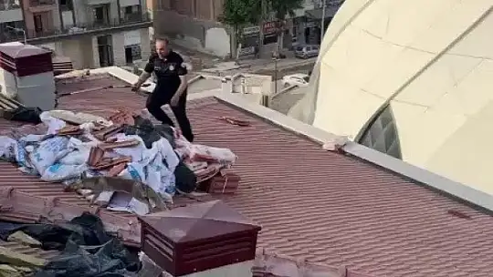 Çatıya çıkan tilki ekipleri harekete geçirdi