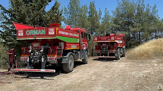 Çocukların çakmakla oyunu ormanı yaktı
