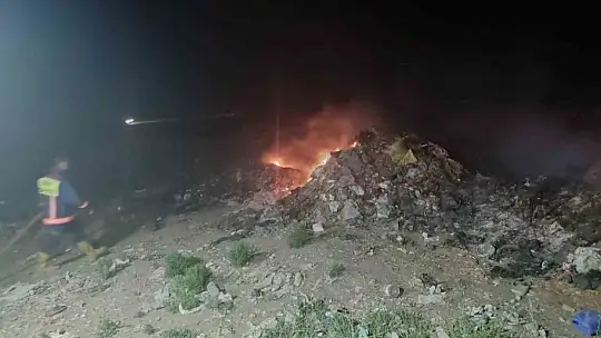 Çöp yangını ormana sıçradı