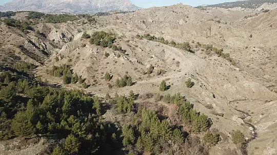 Dağda kaybolan genci jandarma ekipleri buldu