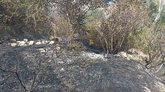 Darende'de bahçe yangını