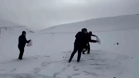 Darende'de öğretmen ve öğrenciler yaban hayvanlarını unutmadı