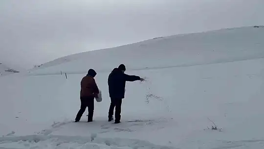 Darende'de öğretmen ve öğrenciler yaban hayvanlarını unutmadı