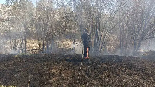 Darende'de sazlık yangını