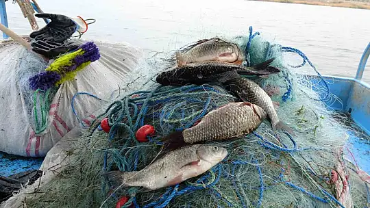 Denizi olmayan Malatya'da balık ihracatı