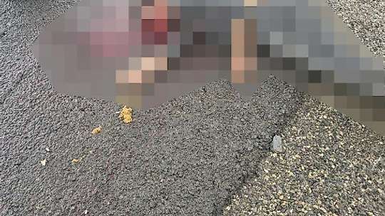 Diyarbakır'da 2 kişinin öldüğü kaza anı cep telefonu kamerasına yansıdı