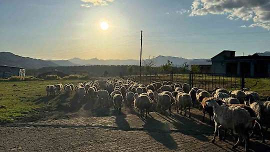 Diyarbakır'da göçerlerin zorlu yolculuğu başladı