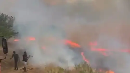 Doğanyol'da bahçe yangını