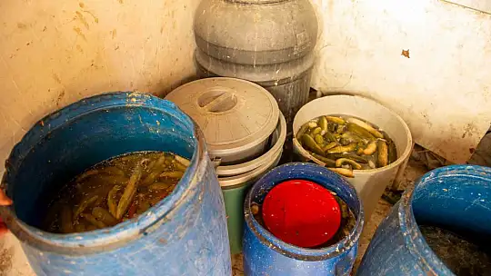 Dönerciden kurtlu salça ve turşu çıktı