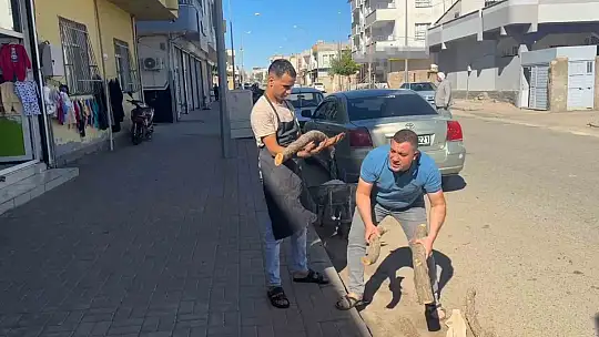 Ehliyet başvurusu yaptığında yatalak hasta olduğunu öğrendi