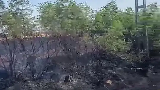 Ekin yangını korkuttu
