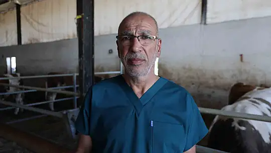 Başkanı Bulut: Şap hastalığına yakalanan hayvanların kesilmesinde bir sakınca yoktur
