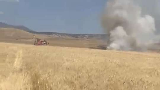 Elazığ'da 35 dönüm ekili alan küle döndü