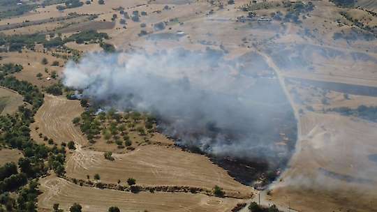 Elazığ'da anız ve bahçe yangını