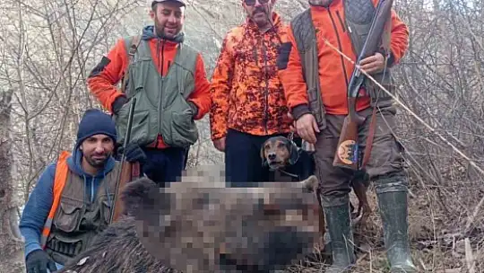 Elazığ'da avcılar sürü halinde domuz avladı