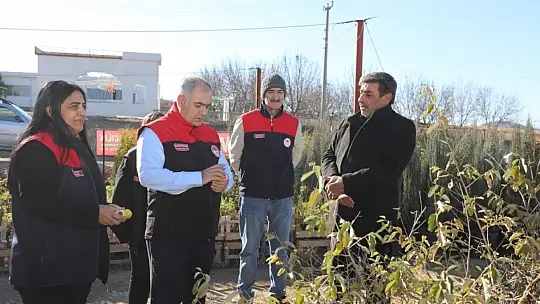 Elazığ'da fidancılık işletmelerine denetim