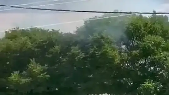 Elazığ'da gençlerden duyarlı davranış: Yangın büyümesin diye seferber oldular