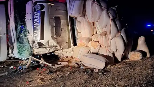 Elazığ'da kamyon devrildi: 1 yaralı