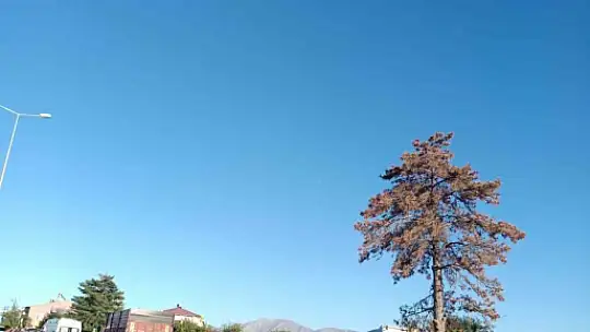 Elazığ'da motosiklet park halindeki kamyona çarptı: 1 ölü, 1 yaralı