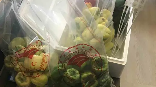 Elazığ'da pestisit denetimleri sürüyor