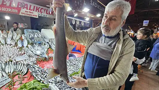 Elazığ'da satışa çıkarılan köpek balığı ilgi odağı oldu