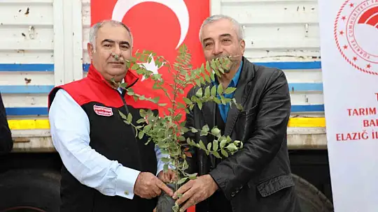 Elazığ'da sumak üretimi artıyor