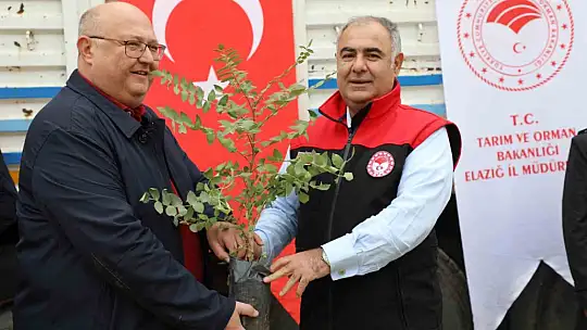 Elazığ'da sumak üretimi artıyor