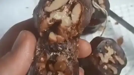 Elazığ'da vatandaşın aldığı orcikten böcek çıktı