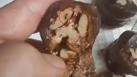 Elazığ'da vatandaşın aldığı orcikten böcek çıktı