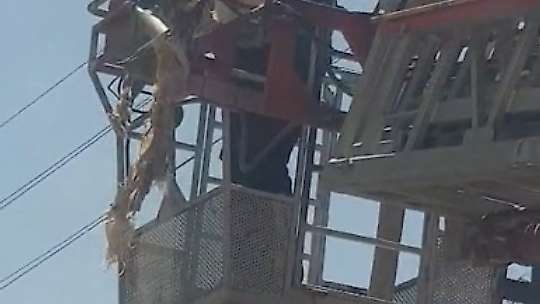 Elazığ'da yaralı leylek itfaiye tarafından kurtarıldı