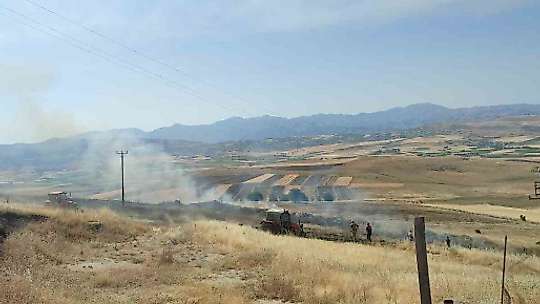 Elazığ'daki yangında 40 dönümlük arpa küle döndü