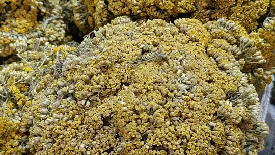 Enerji içeceklerinin zararlarının bir bir ortaya çıkması doğal içeceklere ilgiyi arttırdı