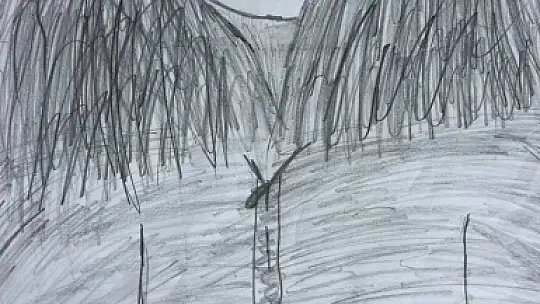 Engel tanımayan ikizlerin resim aşkı