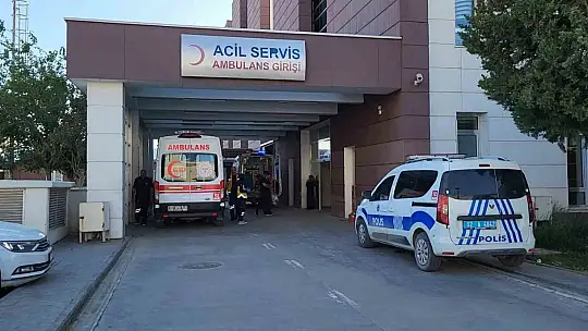 Evden kaçan köpek sokakta yürüyen kızlara saldırdı