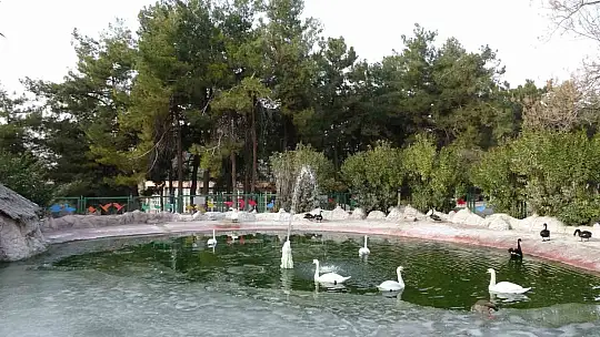 Gaziantep Doğal Yaşam Parkı'nda yarıyıl tatili yoğunluğu
