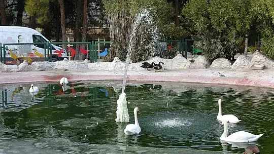 Gaziantep Doğal Yaşam Parkı'nda yarıyıl tatili yoğunluğu