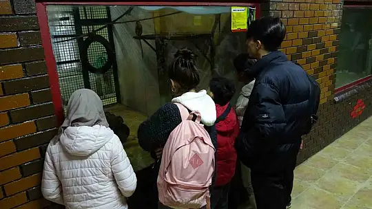 Gaziantep Doğal Yaşam Parkı'nda yarıyıl tatili yoğunluğu