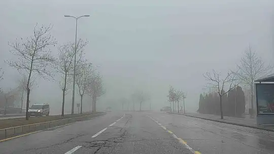 Gaziantep'te 2 gündür yoğun sis etkili oluyor