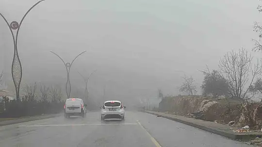 Gaziantep'te 2 gündür yoğun sis etkili oluyor