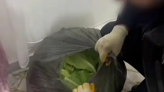 Gaziantep'te 22 kilo skunk ile çok sayıda silah ele geçirildi: 7 gözaltı