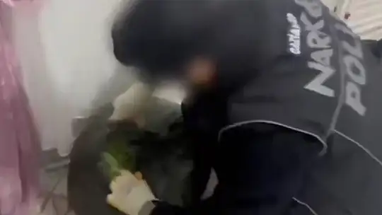 Gaziantep'te 22 kilo skunk ile çok sayıda silah ele geçirildi: 7 gözaltı