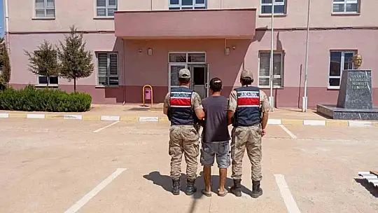 Gaziantep'te 428 kök kenevir ele geçirildi: 5 şahıs tutuklandı