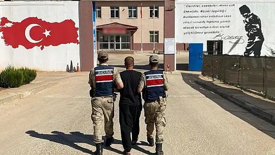 Gaziantep'te 428 kök kenevir ele geçirildi: 5 şahıs tutuklandı
