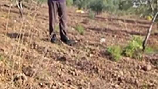 Gaziantep'te amca-yeğenin arazi kavgası kanlı bitti: Yaraladığı yeğenine yardım edilmesini engellemeye çalıştı