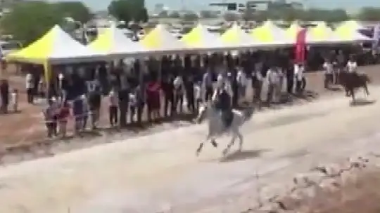 Gaziantep'te attan düşen AK Partili eski ilçe başkanı ağır yaralandı