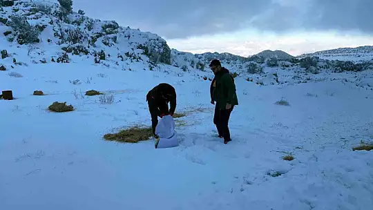 Gaziantep'te karlı havada aç kalan yaban hayvanları için doğaya yem bırakıldı