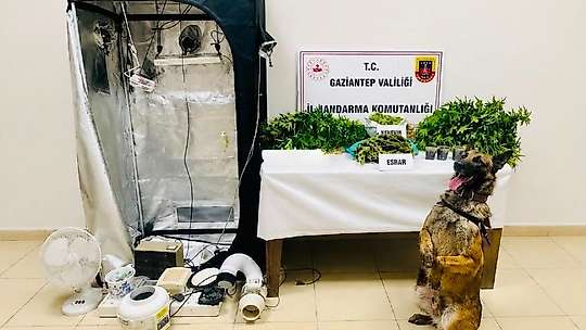 Gaziantep'te uyuşturucu tacirlerine darbe: 14 şahıs tutuklandı