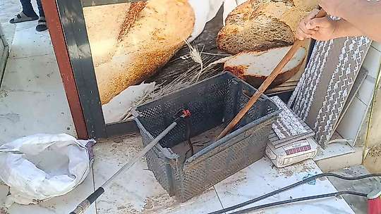Gaziantep'te yerleşim yerinde yılan paniği